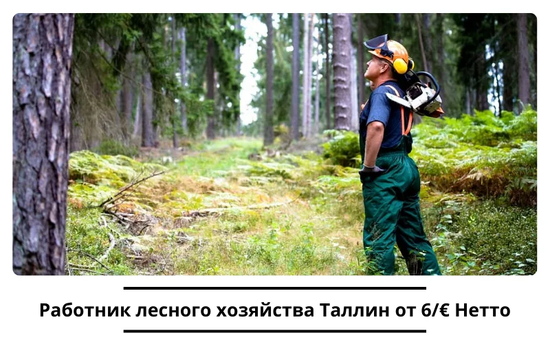 Вакансия Работник лесного хозяйства Таллин от 6/€ Нетто